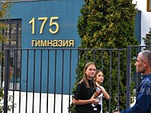 Памятником погибшим в гимназии №175 стал мемориальный сад