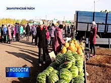 В Башкортостане продолжаются сельскохозяйственные ярмарки
