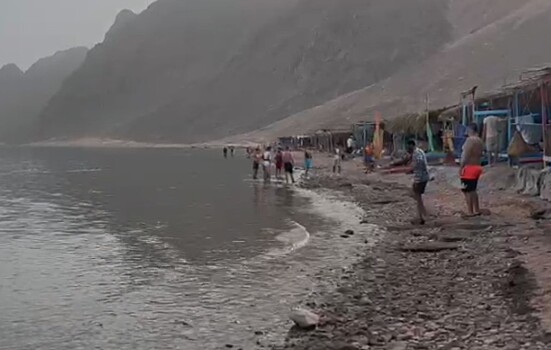 Акула снова напала на туриста в Египте