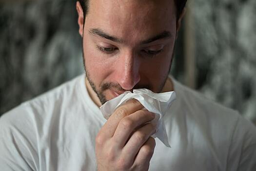 Иммунолог назвала отличия аллергии на пыльцу от простуды
