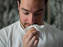 Иммунолог назвала отличия аллергии на пыльцу от простуды