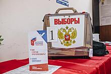 Памфилова: Явка на голосовании по поправкам в Конституцию РФ за три дня составила 28,5%