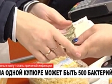 Даже микробы любят деньги