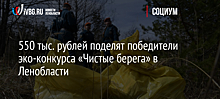 550 тыс. рублей поделят победители эко-конкурса «Чистые берега» в Ленобласти