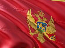 Депутат Милонов призвал перестать продавать газ Черногории из-за визовых санкций