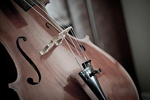 Концерт «Волшебный звук виолончели» состоится неподалеку от Куркина