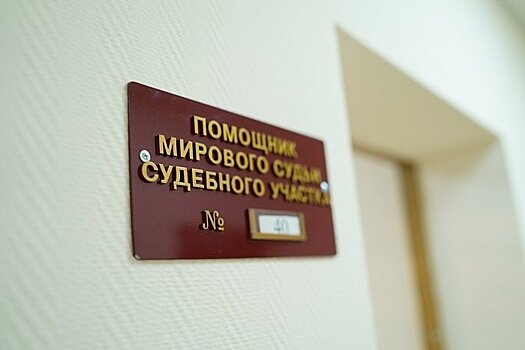 Чепчанку оштрафовали на 7 тысяч рублей за вранье о грабеже