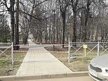 О правилах самоизоляции в воскресенье напомнили посетителям парка «Торфянка»