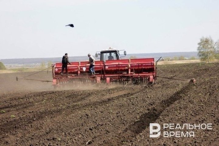 На проведение весенне-полевых работ в Татарстане требуется 38,8 млрд рублей