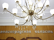 В Волгограде выявили недостоверные данные о доходах депутатов облдумы