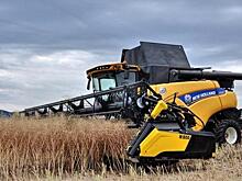 В Хабаровском крае могут собрать рекордный объем зерновых