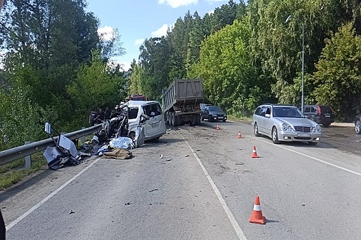 Женщина и двое детей погибли в ДТП с грузовиком на Чуйском тракте