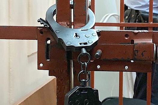 Похитивший и насиловавший россиянку в подвале мужчина пойдет под суд