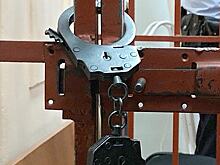 Похитивший и насиловавший россиянку в подвале мужчина пойдет под суд