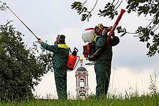 Растения получат «Шанс» из Липецка