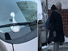 Страшную месть устроила дама с собачкой соседям в Новосибирске