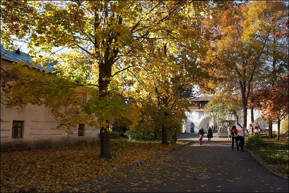 Ярославль, Россия, Европа