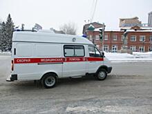 Медики сообщили о состоянии ребенка, пострадавшего от нападения собаки под Новосибирском