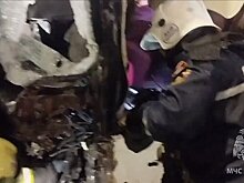 Опубликованы кадры массового ДТП с автобусами на трассе М-12