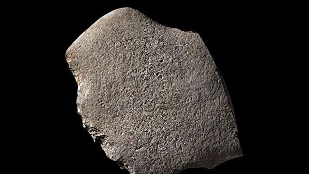Во Франции нашли древний камень с рисунком лошадей