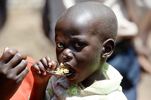 Более 45 млн человек на юге Африки оказались перед угрозой голода