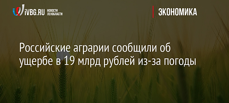 Российские аграрии сообщили об ущербе в 19 млрд рублей из-за погоды