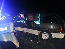 Четыре человека погибли в ДТП между Сызранью и Тольятти