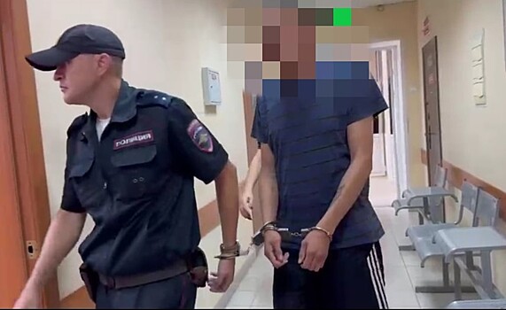 Стало известно криминальное прошлое обвиняемого в сожжении 23-летней бердчанки