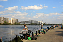 Рыбалка в Москве: интересные факты о спокойном занятии в стремительном темпе города