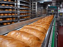 Роспотребнадзор начал разрабатывать систему управления качеством пищевой продукции