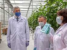 Руководство череповецкого тепличного комбината «Новый» подключилось к акции «Помоги учиться дома»