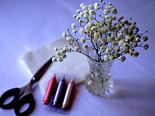 «Мосприрода» назвала имена победителей конкурса «Нежный цветок»