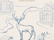 Ростовчан приглашают обсудить проект нового квартала в районе Каменки