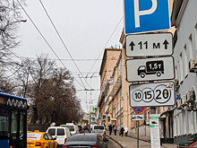 В России платную и бесплатную парковку обозначат разными цветами