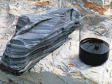 60 долларов пишем, 100 в уме