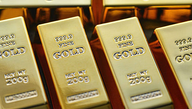 В сто раз чувствительнее: детище сибирских учёных отыщет драгоценные металлы