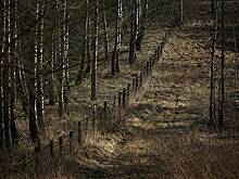 В Польше заявили о росте стоимости постройки «Восточного щита»