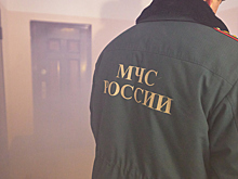 Почти четыре десятка пожаров вспыхнуло в Кузбассе за одни сутки