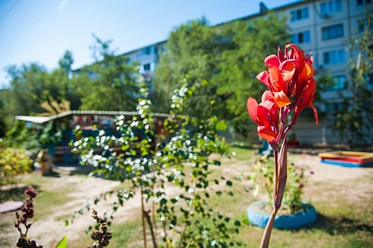 В Волгограде прошел творческий конкурс пленэрных работ