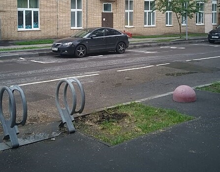 Сухостойные деревья и кустарники убрали в Пресненском районе