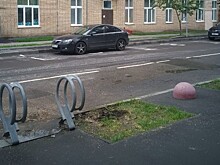 Сухостойные деревья и кустарники убрали в Пресненском районе