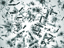 Названы пять наиболее опасных семейств вирусов