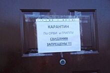 В Приангарье закрыли на карантин 31 школу и 17 детских садов