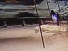 Водитель сбил мать с дочерьми на пешеходе в Башкирии