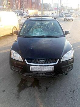 На Московском шоссе водитель Ford Focus сбил пешехода
