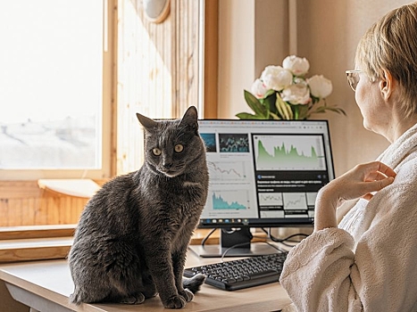 Попрошу вас удалиться! Правила и советы для тех, кто переходит на дистанционку