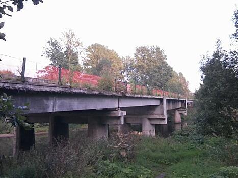 Больше не пешеходный: еще один петербургский мост хотят отдать автомобилистам