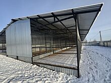 20 вольеров для бездомных собак построили в Устиновском районе Ижевска