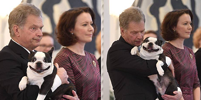 Собака президента Финляндии стала звездой соцсетей