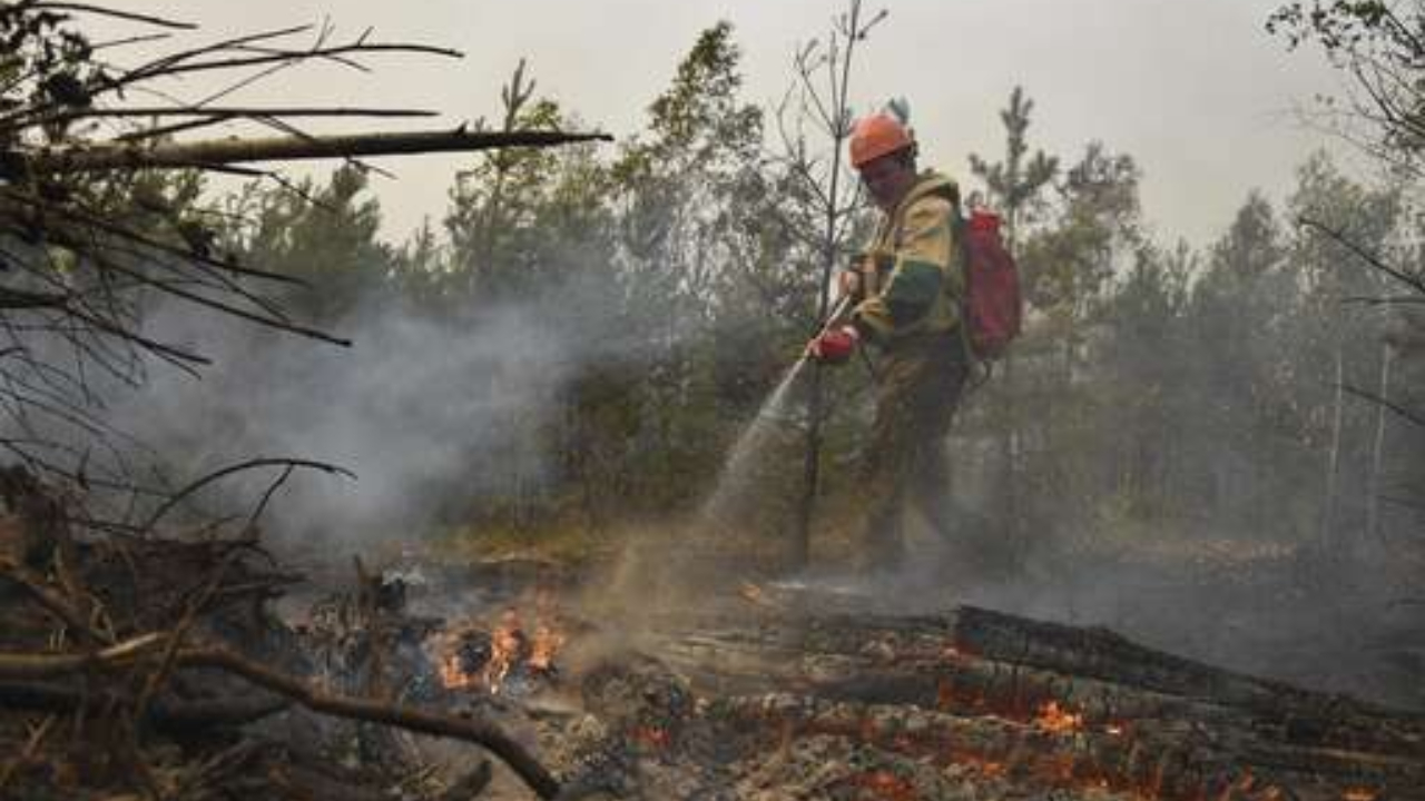 МЧС: площадь ландшафтного пожара в Крыму увеличилась до 40 га